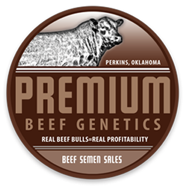 Premium Beef Genetics