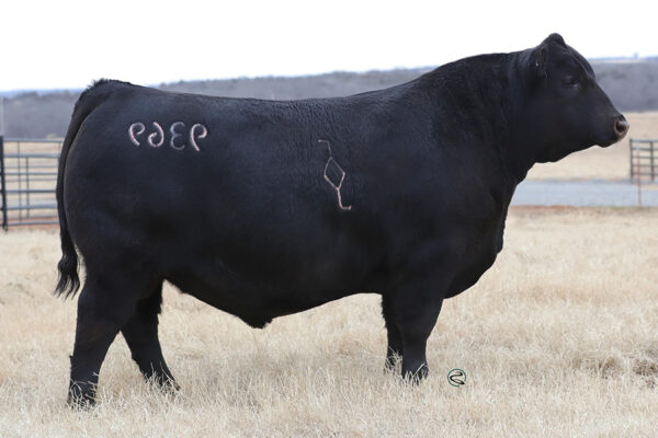 C-4 RIO BRAVO 9369