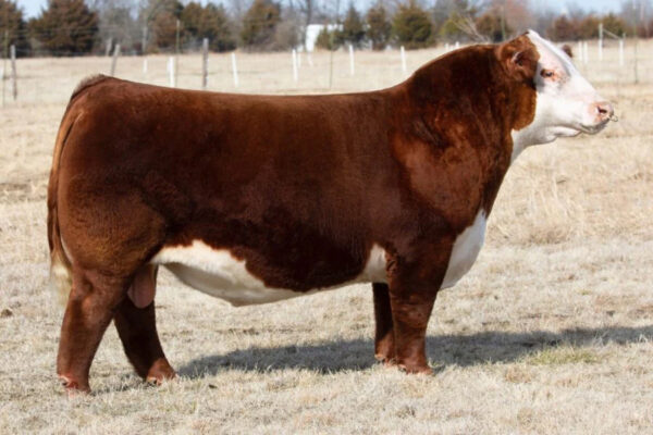 CH HIGH ROLLER 756 ET