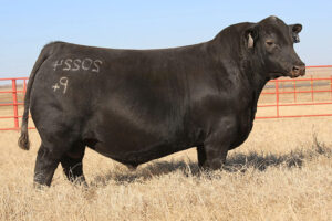 DUFF NATURAL LITE 20224