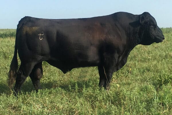 MDR GALLAGHER RULE 3020A