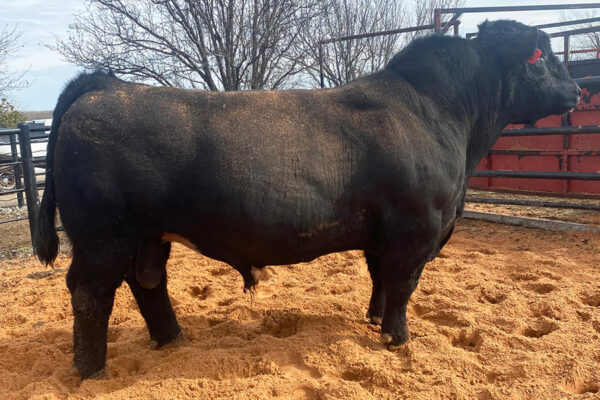 BOE GARTH 40B
