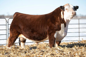 H SWANSON 902ET