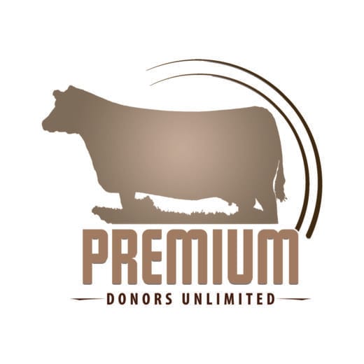 LOGO1 copy