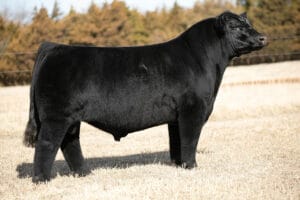 GCC MAKIN TIME 404F ET