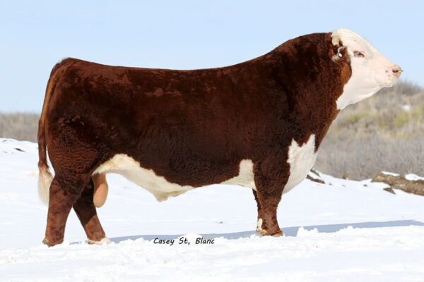 NJW 73S 980 HUTTON 109Z ET