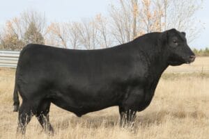 SAV JESSE JAMES 0968