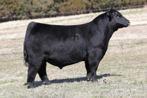 GCC TRUE MEASURE 406G ET