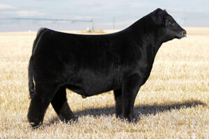 MINN CLASS ON CLASS 77E ET