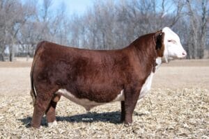 H JR EISENHOWER 0593 ET