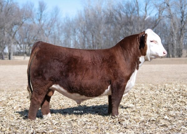 H JR EISENHOWER 0593 ET