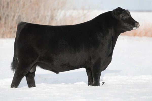 HLC CSI PRIVATE STOCK 879J