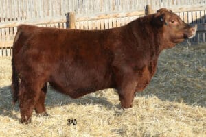 RED U-2 RECKONING 149A