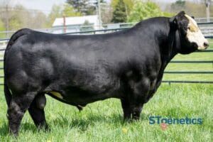 WCC/RRF TROUBADOUR 0130H