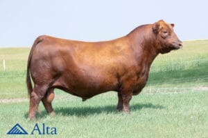 LSF SRR HEDGE FUND 7017E