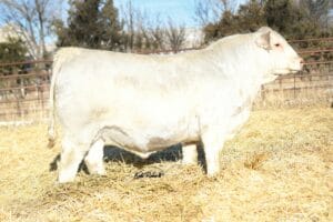 LT GOVERNOR 1560 PLD