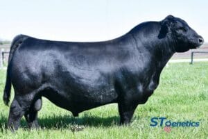 PVF BLACKLIST 7077