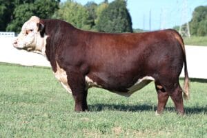 CHURCHILL EQUITY 3316L ET