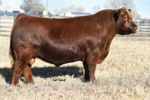 9 MILE ENTERPRISE 8180