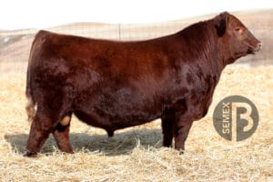 RED SIX MILE OVERHAUL 264M