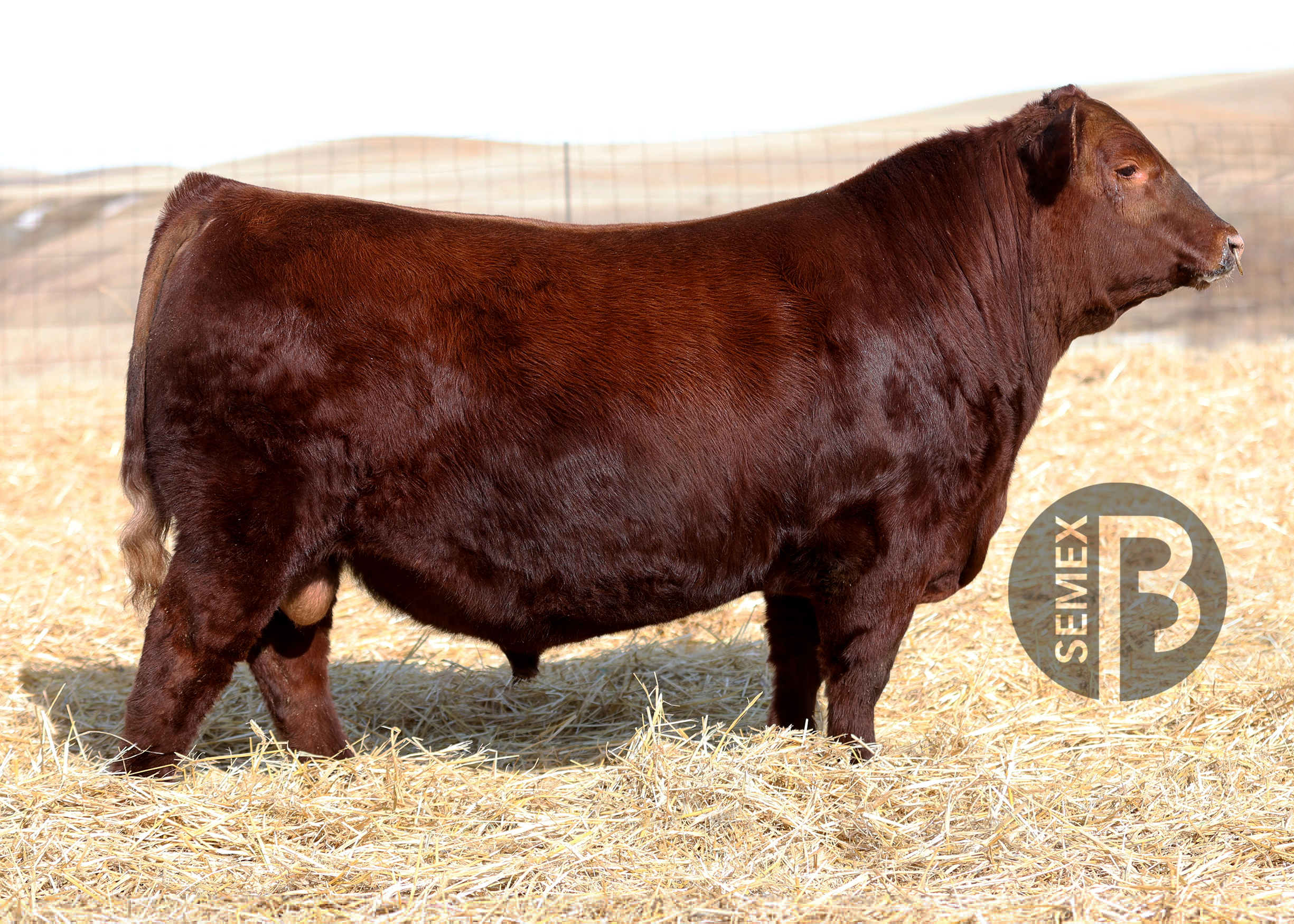 RED SIX MILE OVERHAUL 264M